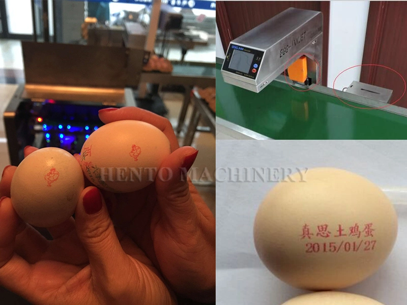 Egg Date Printing Machine Automatic Egg Printing Machine