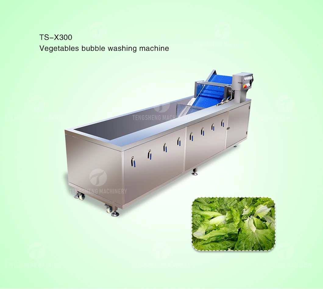 Large Fruit Washing Machine Orange Washing Cleaning Machine Food Processor (TS-X300)