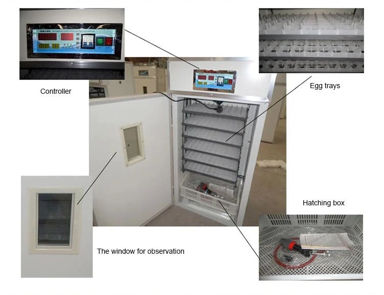 High Quality Full Automatic Poultry Incubator Egg/Duck/Goose/Quail/Ostrich Hatchery