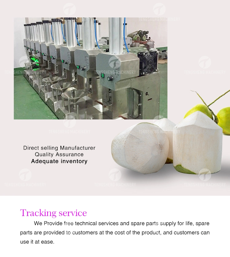 Industrial Automatic Young Green Coconut Peeling Machine Southeast Asia Coconut Peeling Processing (TS-P25)