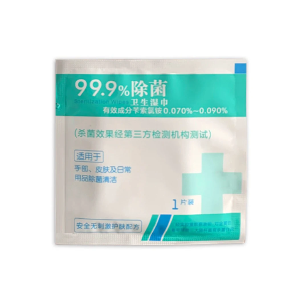 Disposable Moist Towelettes Daily Cleaning Hotel Travel Portable Cleaning Towel Personal Cleaning Independent Packing Wipes (W18)