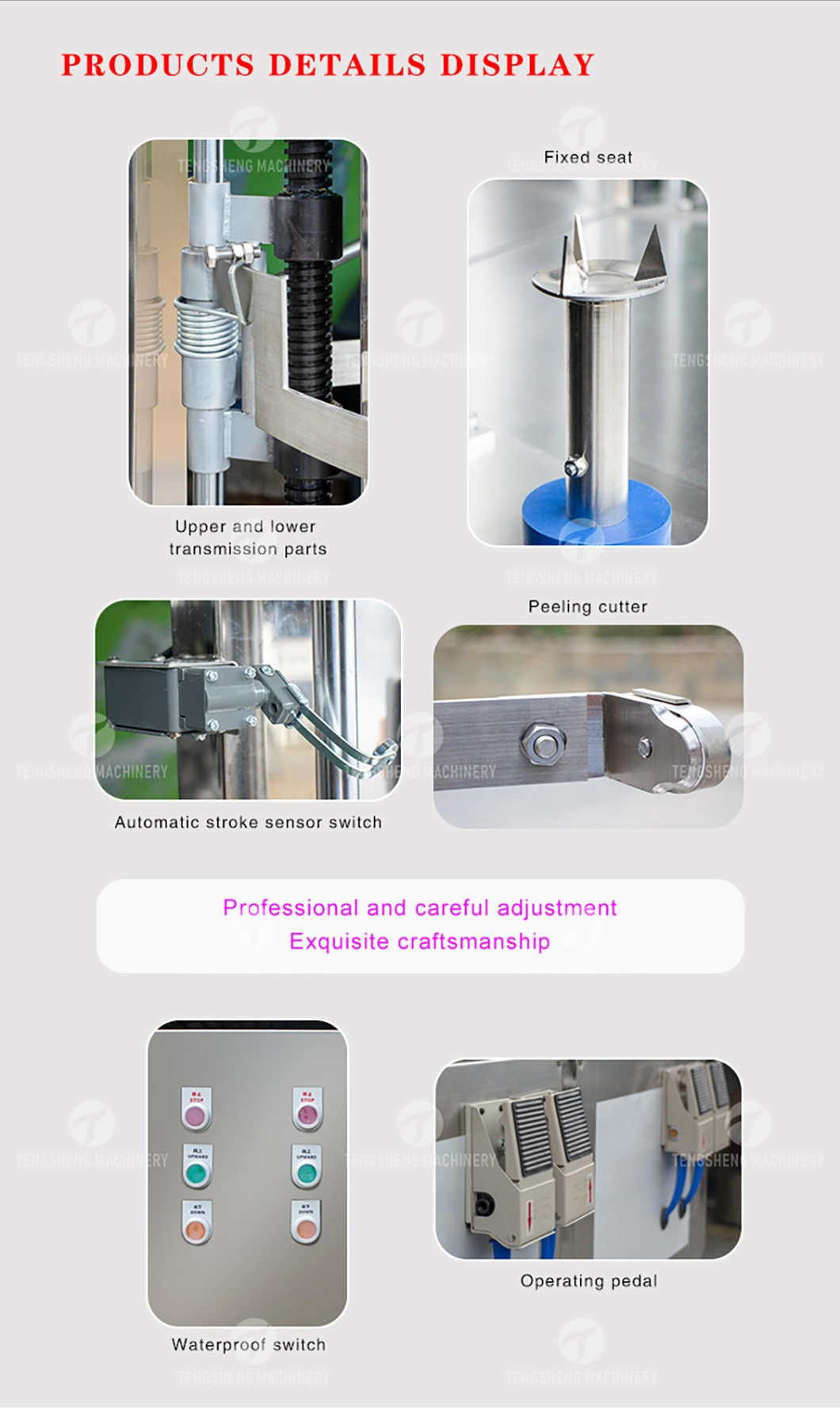 Xinjiang Double-Head Peeling Machine Hami Melon Peeling Machine Electric Melon Peeling Machine (TS-P100)