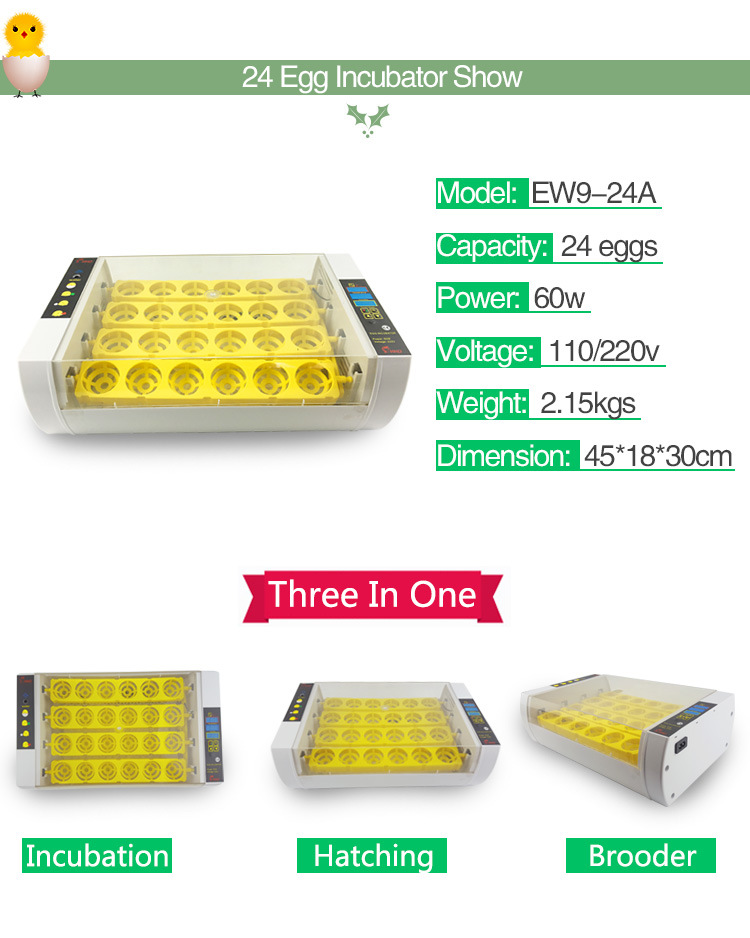 New Condition Hhd 220V Commercial Mini Egg Incubator 24 Egg Hatcher