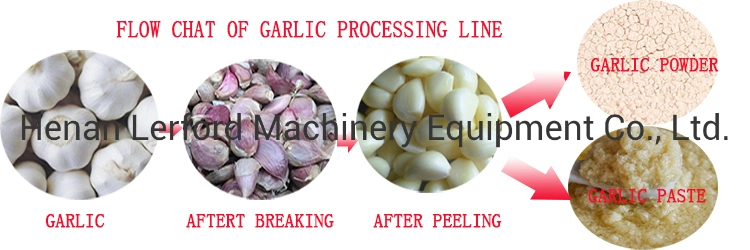 Industrial Garlic Breaking Peeling Peeler Processing Machine Production Line