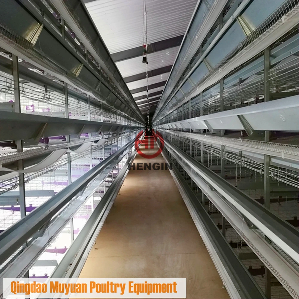 Hot-DIP Galavanized Layer Egg Cage Machinery for Poultry House
