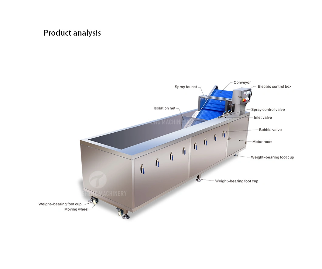 Large Fruit Washing Machine Orange Washing Cleaning Machine Food Processor (TS-X300)