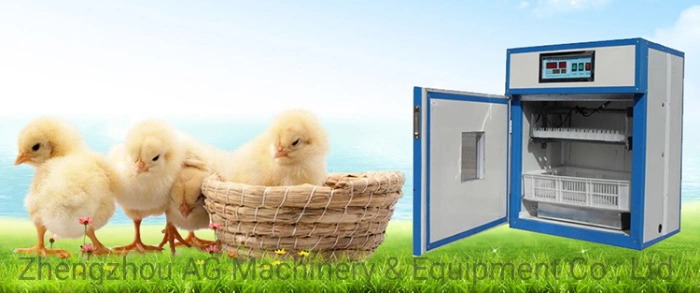 Automatic Solar Powered Goose Quail Duck Poultry Chicken Egg Incubator