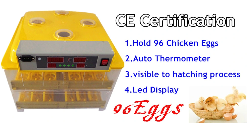 CE Approved Professional Small Automatic Digital 96 Eggs Egg Incubator for Sale in China