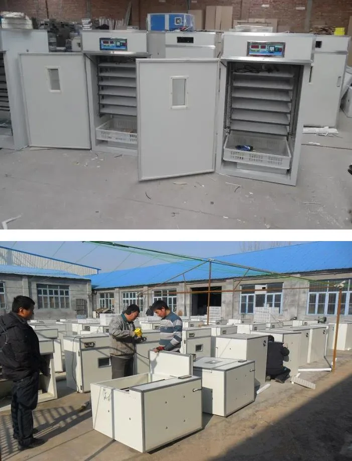 Customized Automatic Hatch Machine and Chicken Eggs Incubator 88-1848 Eggs