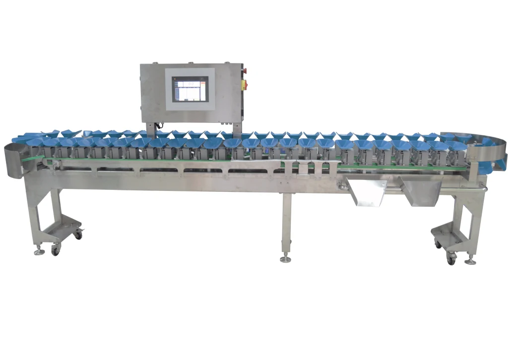 Automatic Sorting Machine Automatic Weight Sorting Machine for Fruit/Seafood Packing Line