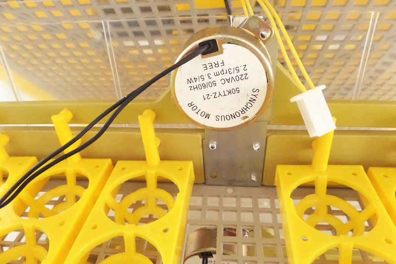 Full Transparent Automatic Egg Quail Egg Incubator