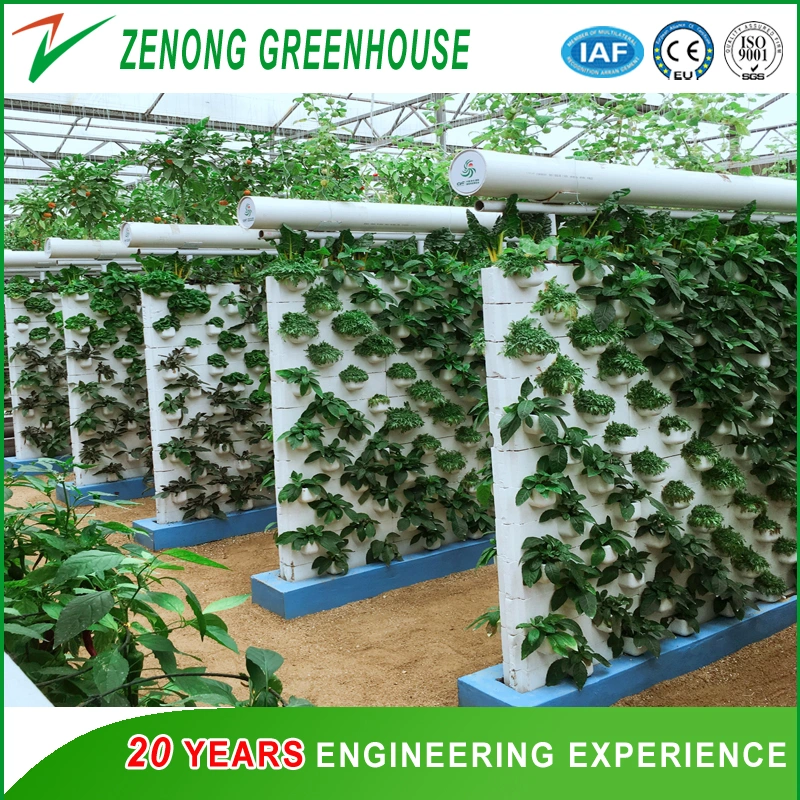 Greenhouse Hydroponic/Aquaponic for Tomato/Egg Plant/Lettuce/Celery Cultivation