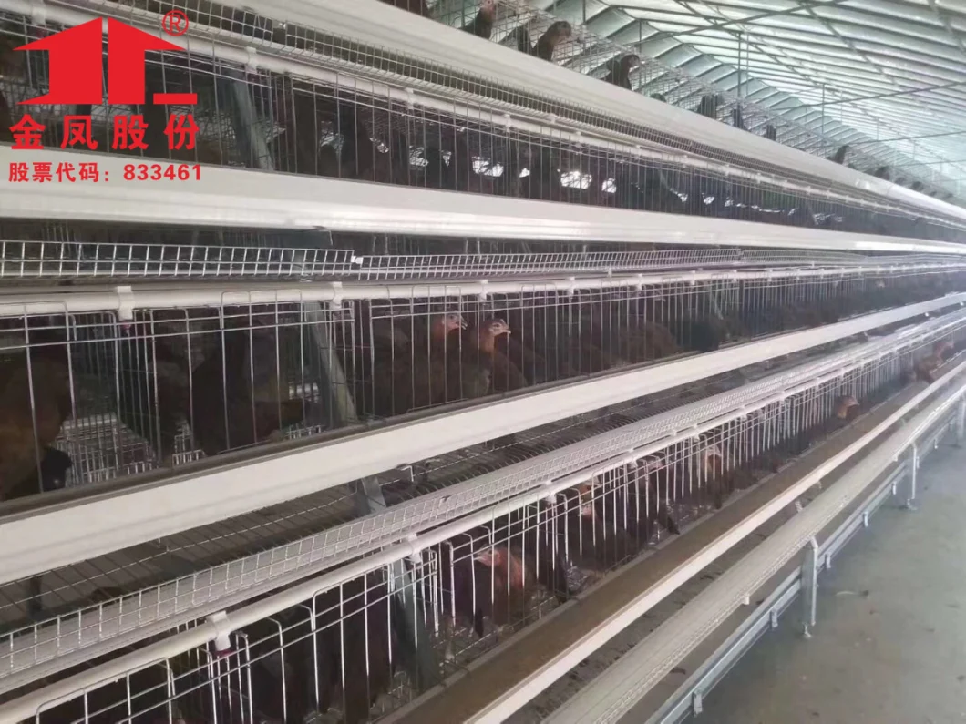 Quality Agricultural Farm Machinery Poultry Equipment Egg Laying Chicken Cage