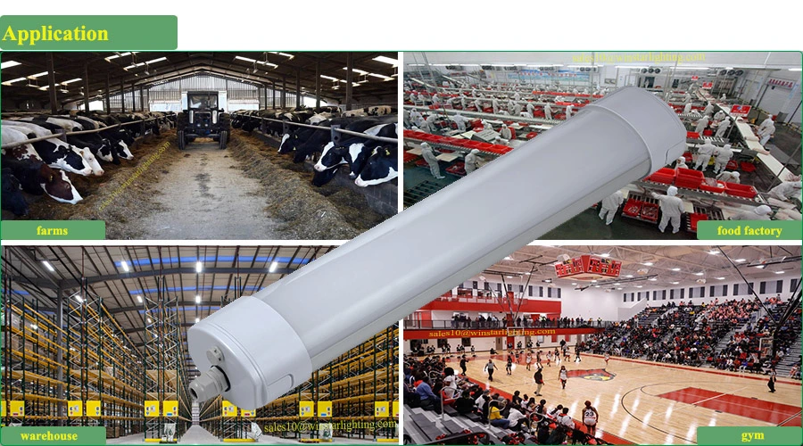 High Power LED Tri Proof Tube Internal Integrated Battery Emergency Light, LED Tri-Proof Light