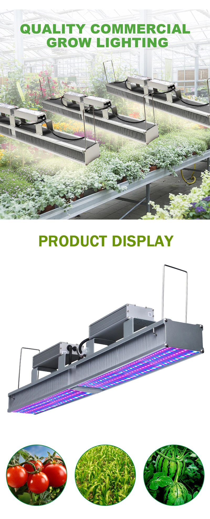 LED Greenhouse Grow Light Indoor Plants 600W LED Commercial Grow Light