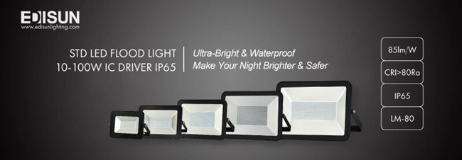 10W/20W/30W/50W Ik10 Explosion Proof LED Flood Light