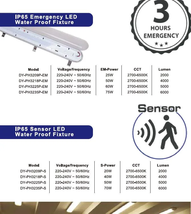 IP65 Emergency LED Water Proof Fixtures Tri Proof Light Wall Light