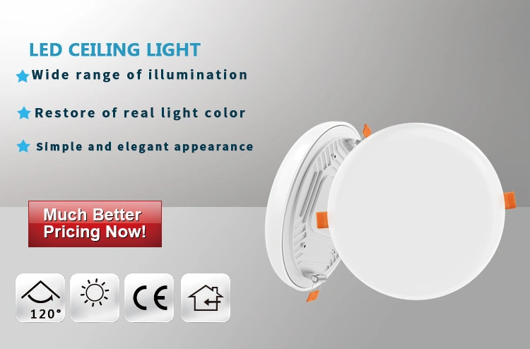 Hot Selling 110V 120V 220V 230V 240V LED Round Ceiling Light Panel Light Downlight 9W 18W 24W 36W