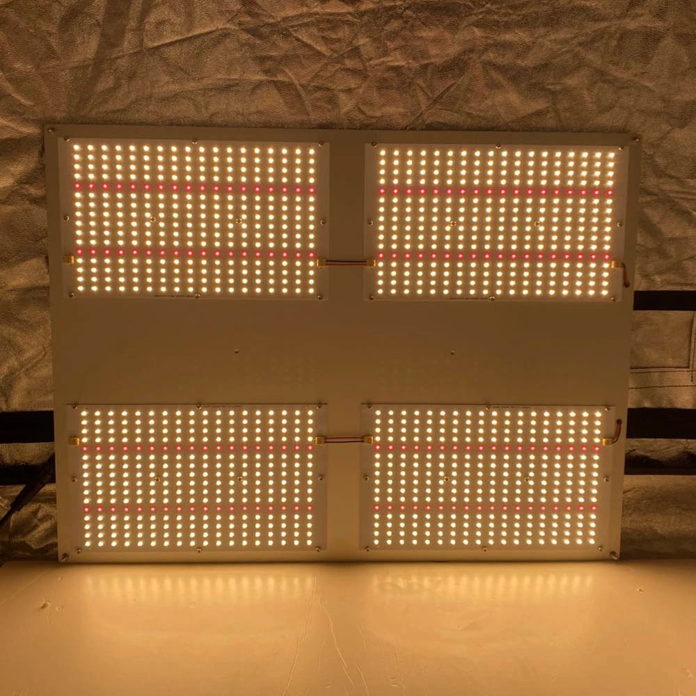 Best Light Grow Full Spectrum Sam-Sung 301h LED Grow Light for Indoor Medical Plants