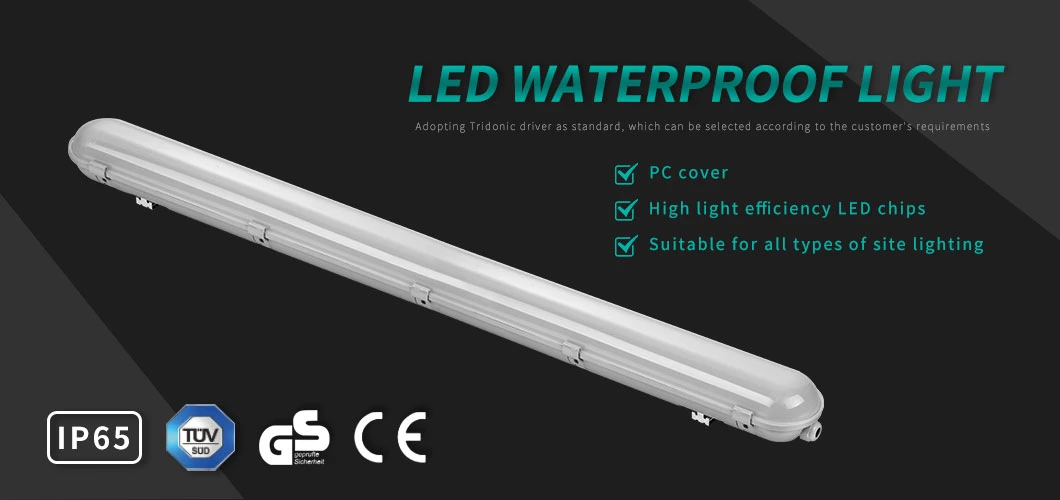 LED T8 Fluorescent Tube Lighting Fixture IP65 Waterproof Linear Light 10W 20W 30W 40W 50W 60W