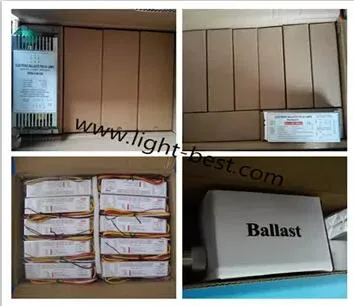 pH11 425 40 Gph843t5l 21-40W UVC Light Ballast Electric Ballast for Ultraviolet Germicidal Lamp
