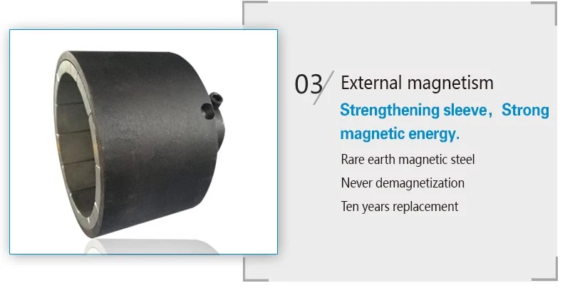Petroleum Methanol Pump for Explosion-Proof Magnetic Pump