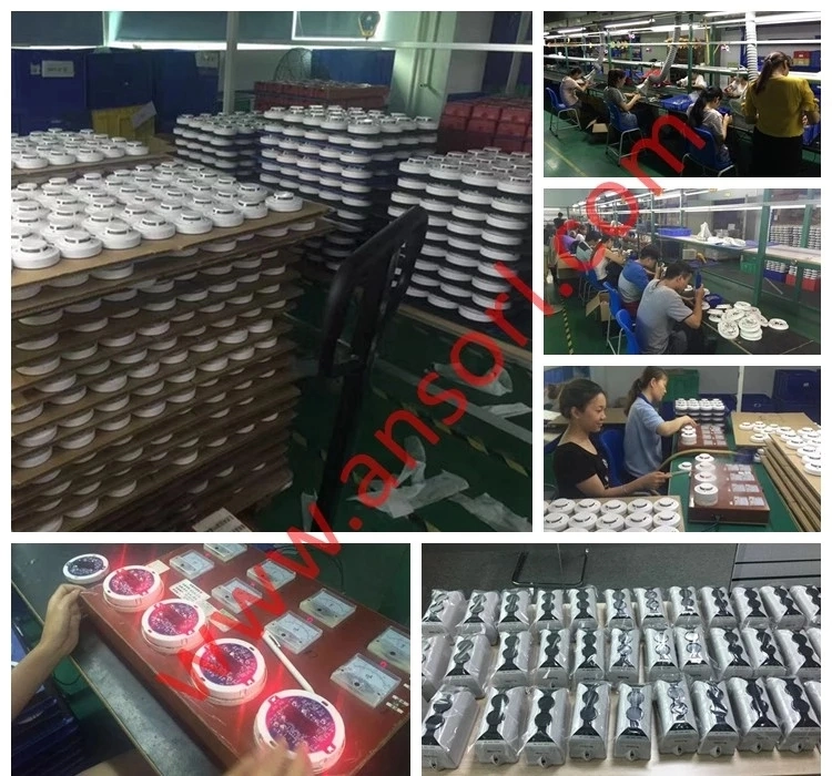 Hot Sales Flame Proof Fire UV-IR2 Industrial Flame Detector Price