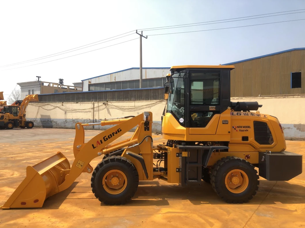 China Best Quality Many Kinds of Spare Parts for Wheel Loader Excavator Mixer Forklift