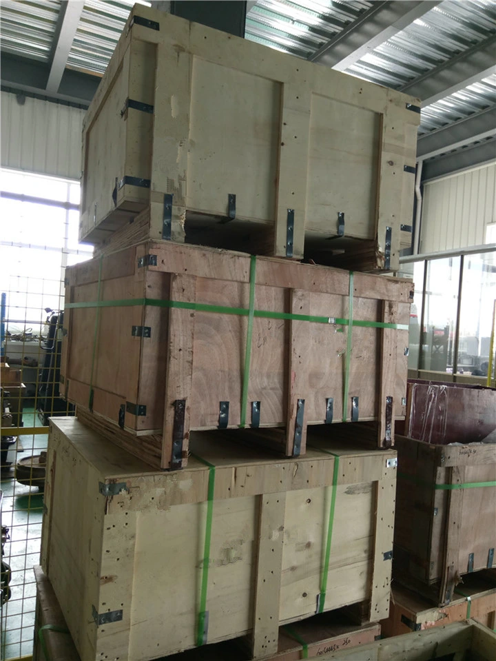 Sany Excavator Parts Slewing Bearing for Sany Excavator Undercarriage Parts From China