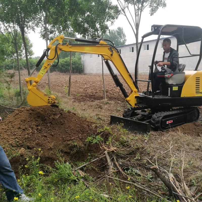 Small Hydraulic Bucket Tooth Excavator Digging Excavator 2 Ton Mini Diesel Powered Excavators
