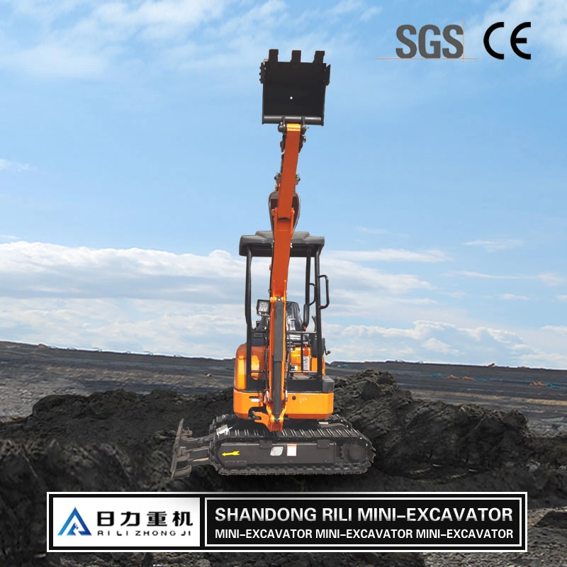 Used Mini Excavator Excavator 2000kg 2ton Mini Excavator Rili20