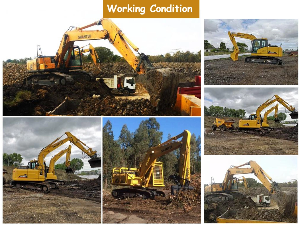 Shantui 22ton Heavy Excavator Se220 Crawler Excavator Low Price