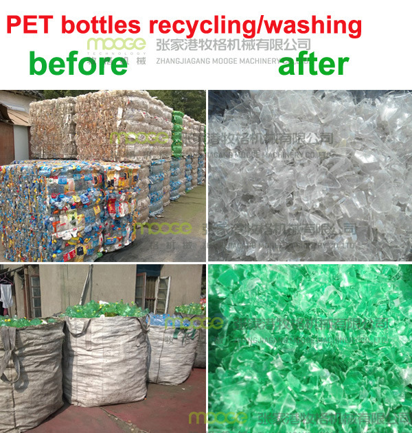 pet plastic recycling machine price
