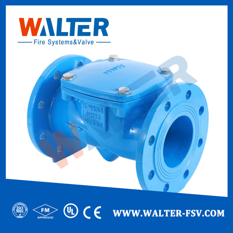Rubber Flap Swing Check Valve for Pump