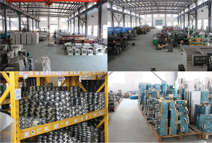 Twin Screw Plastic Extruder Manufacturer for Pet Recycling