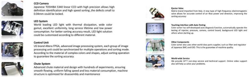 Plastic Sorting Machine in Plastic Recycling Processing Line