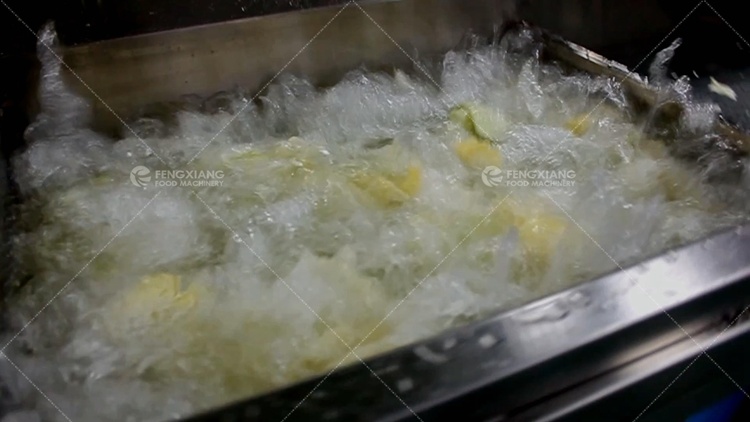 Multifunctional Ultrasonic Wave Washing Machine, Seafood Washing Machine, Vegetable Washing Machine