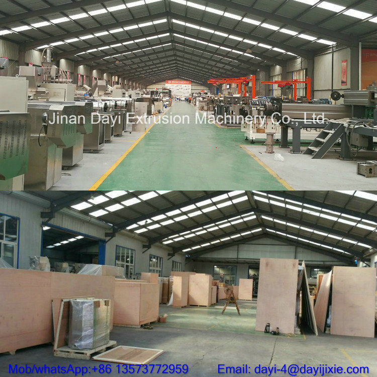 Dayi Extruded Fried 3D Extrusion Making Machine