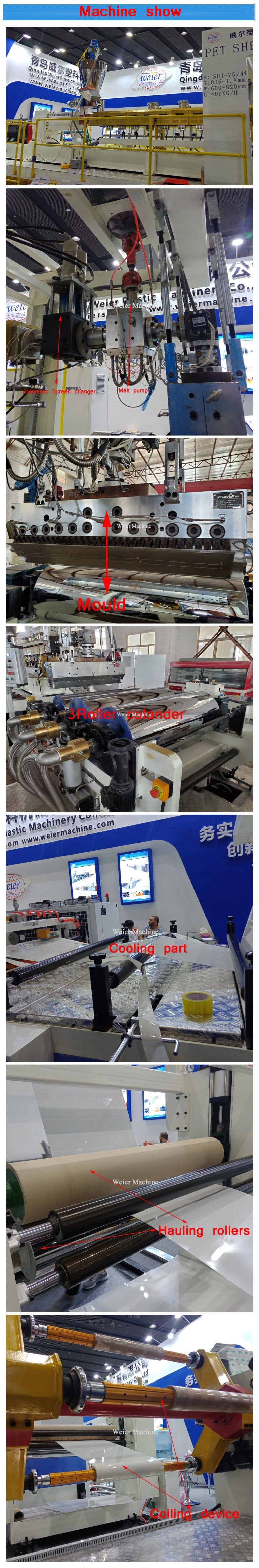 Plastic Pet Sheet Extruder/Pet Sheet Extrusion Line Making Machine/Pet Sheet Roll Production Line