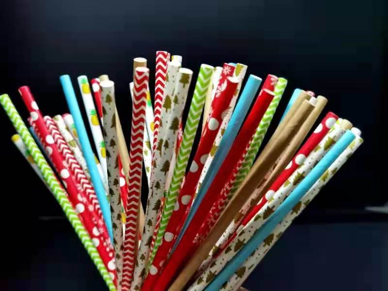Alternative to Plastic Straw Eco Friendly Biodegradable Paper Straw