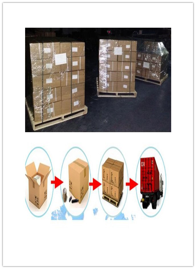 Plastic Top and Bottom Case/Plastic Container/Plastic Box/OEM Plastic Equipment Case
