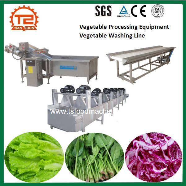 Vegetable Processing Equipment Machine Vegetable Washing Line