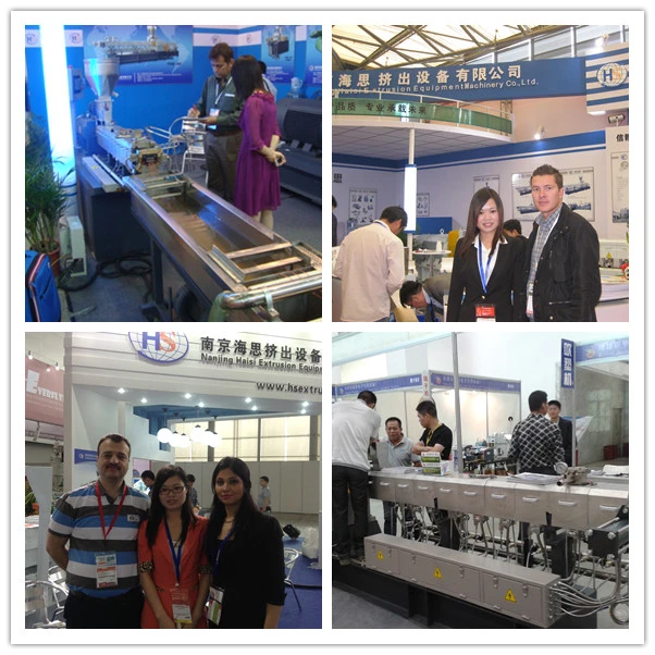 PVC Compounding Twin Screw Plastic Extruder Price and Laboratory Pelletizer Extruder