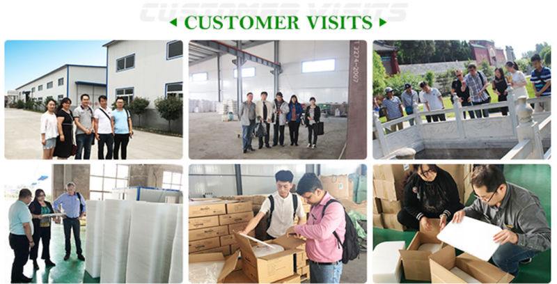 HDPE Poly Sheeting HDPE Plate Suppliers High Density Polyethylene Board HDPE Pad HDPE Strip