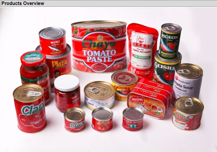 High Cost Performance Manufacture Producer of Canned Mackerel in Tomato Sauce