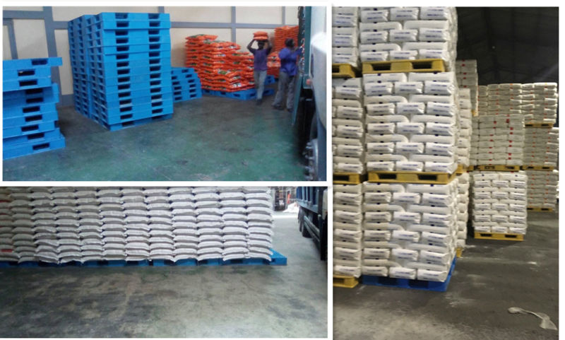 Double Faced Stackable Food-Grade Plastic Pallets for Sale