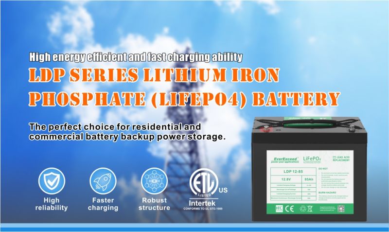 Lithium Battery Rechargeable 12V 6ah LiFePO4 Battery to Replace The Lead Acid Battery