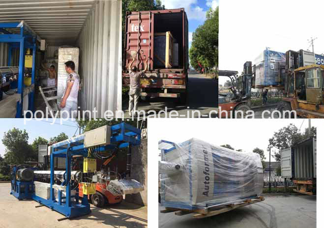 Single-Layer PP Material Sheet Extruder Machine Plastic Sheet Extrusion Line (PPSJ-100)