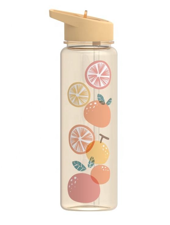 2019 500ml BPA Free Plastic Water Bottle with Straw (HDP-0460)