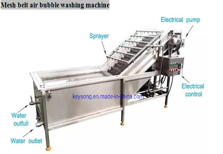 Low Cost High Return Fruit Vegetable Air Bubble Washing Machine